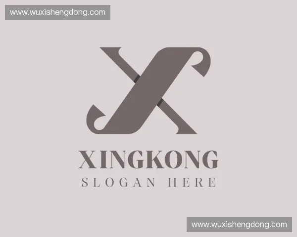了解xingkong中国官网